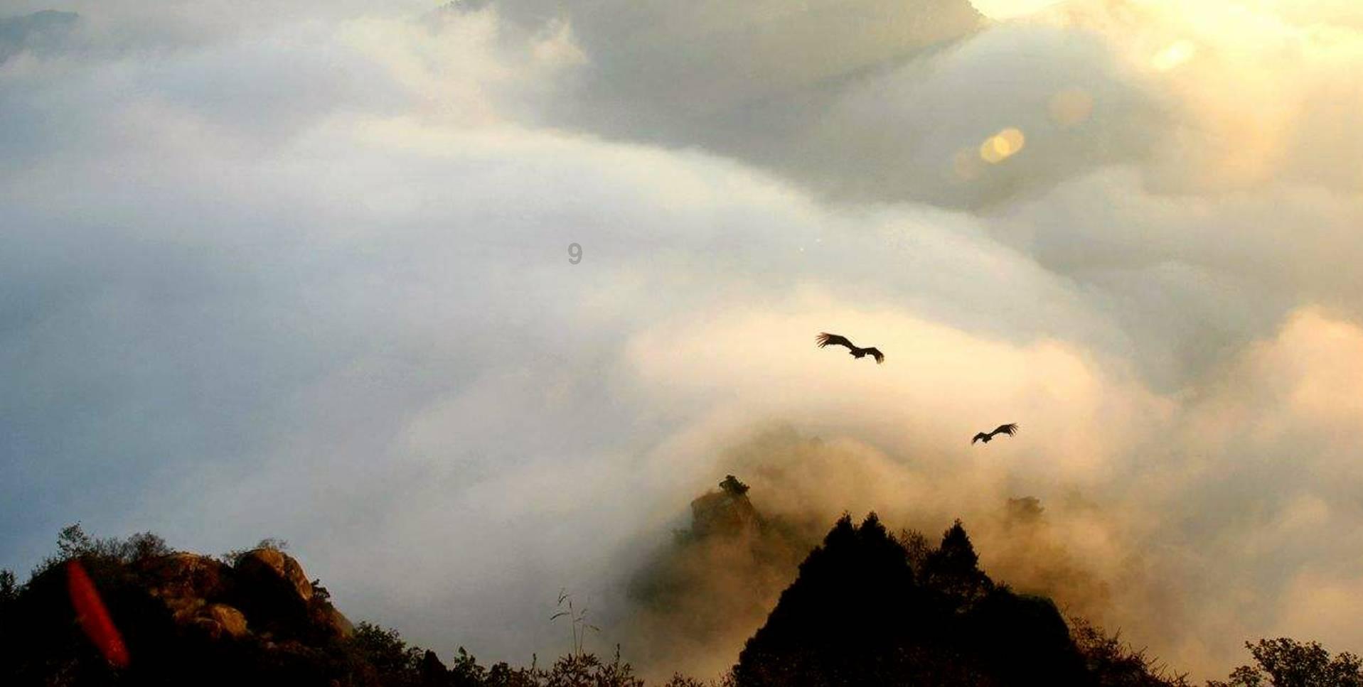平湖精心描绘“未来乡村”和美场景